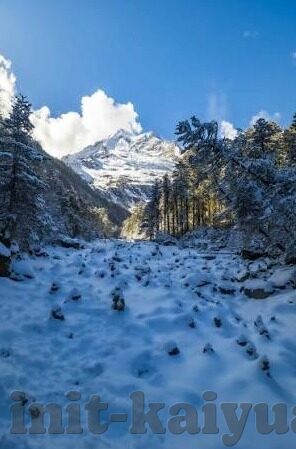 澳门威尼斯人-澳门威尼斯人，一座梦幻度假胜地的独特魅力