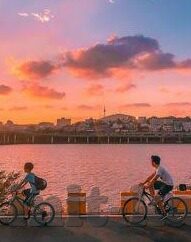 世界杯陪太子读书-世界杯陪太子读书，足球盛宴中的文化共鸣与教育意义