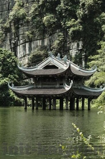 杏彩金桔布丁图片-杏彩金桔布丁，一场视觉与味觉的盛宴